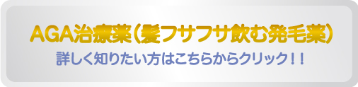 ボタン