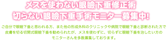 眼瞼下垂ページタイトル